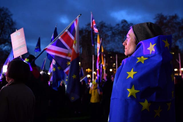 An anti-Brexit activist stands with other protestors as they demonstrate outside parliament on Tuesday