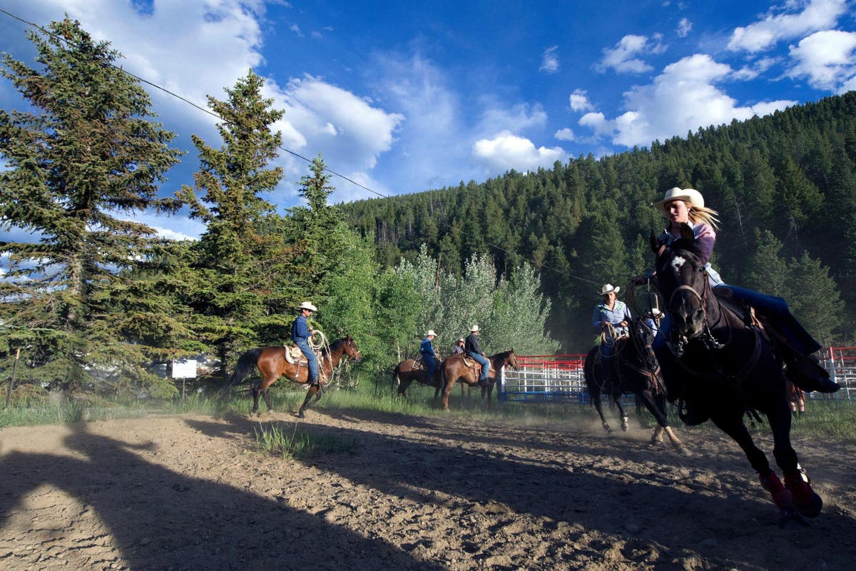 Rise of the American cowgirl: How women have reclaimed their connection to the land