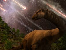 Number of asteroids pummelling Earth shoots up since age of dinosaurs