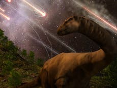 Dinosaur extinction: Asteroid hit with force of 10 billion atomic bombs and deposited ‘hundreds of feet’ of material in hours, new research says