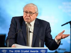 David Attenborough urges business leaders to tackle climate change