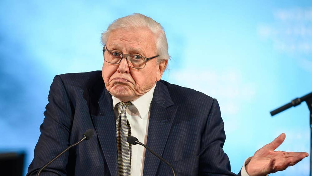 Davos 2019: David Attenborough issues stark warning about future of civilisation as he demands ‘practical solutions’ to combat climate change