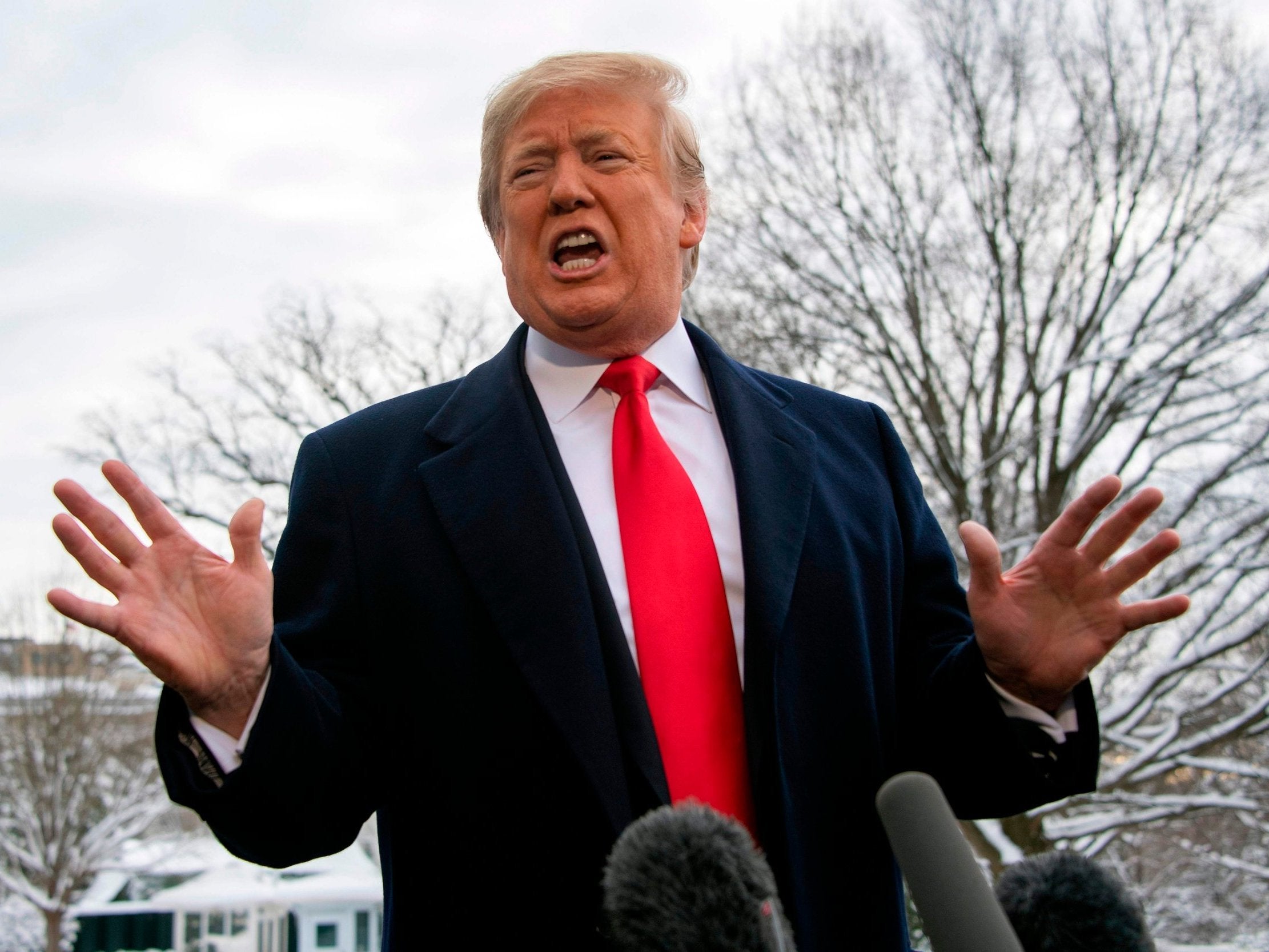 US President Donald Trump has cited crimes by illegal immigrants as a reason for his border wall.