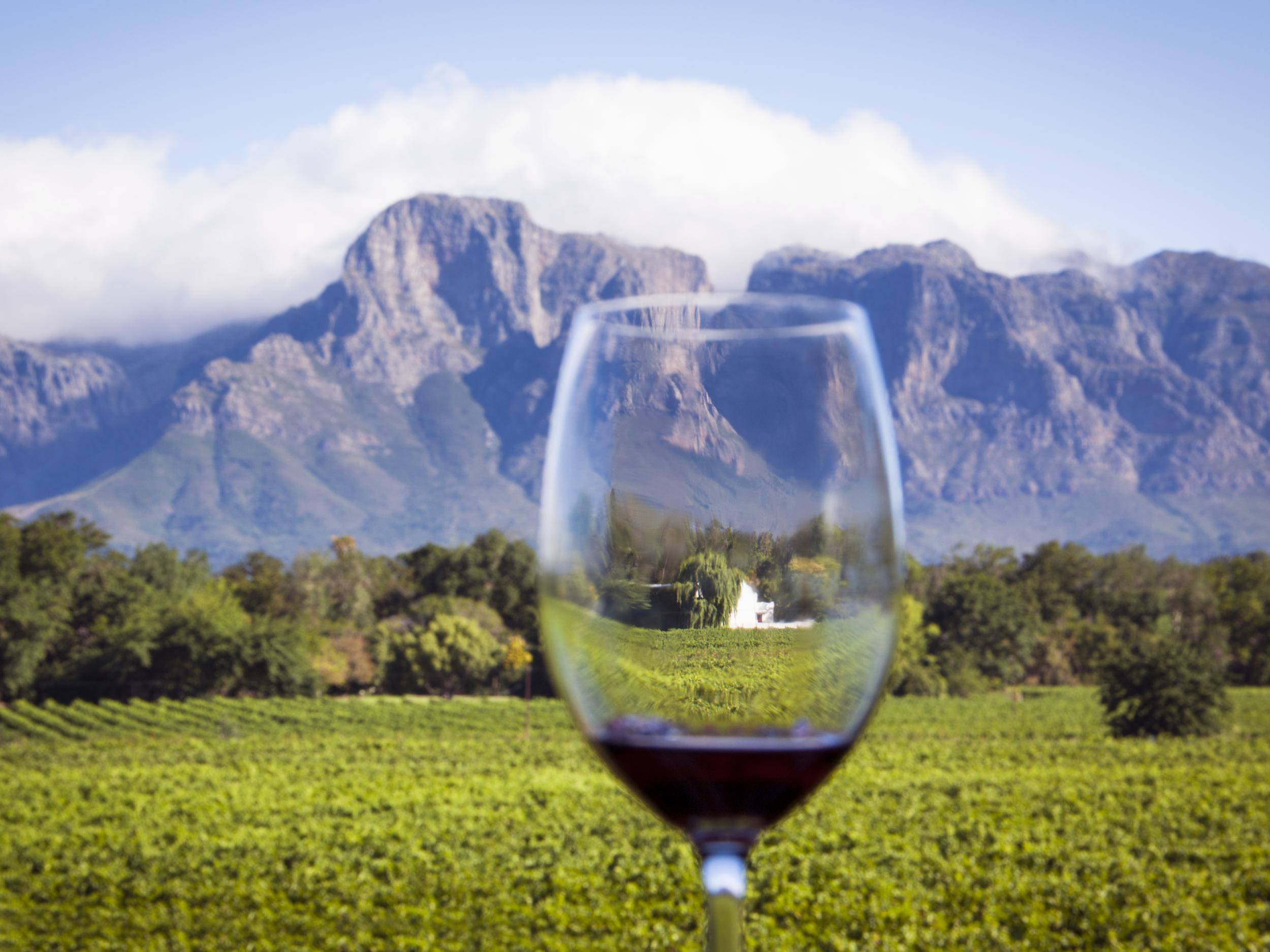 Best South African Wines 2025