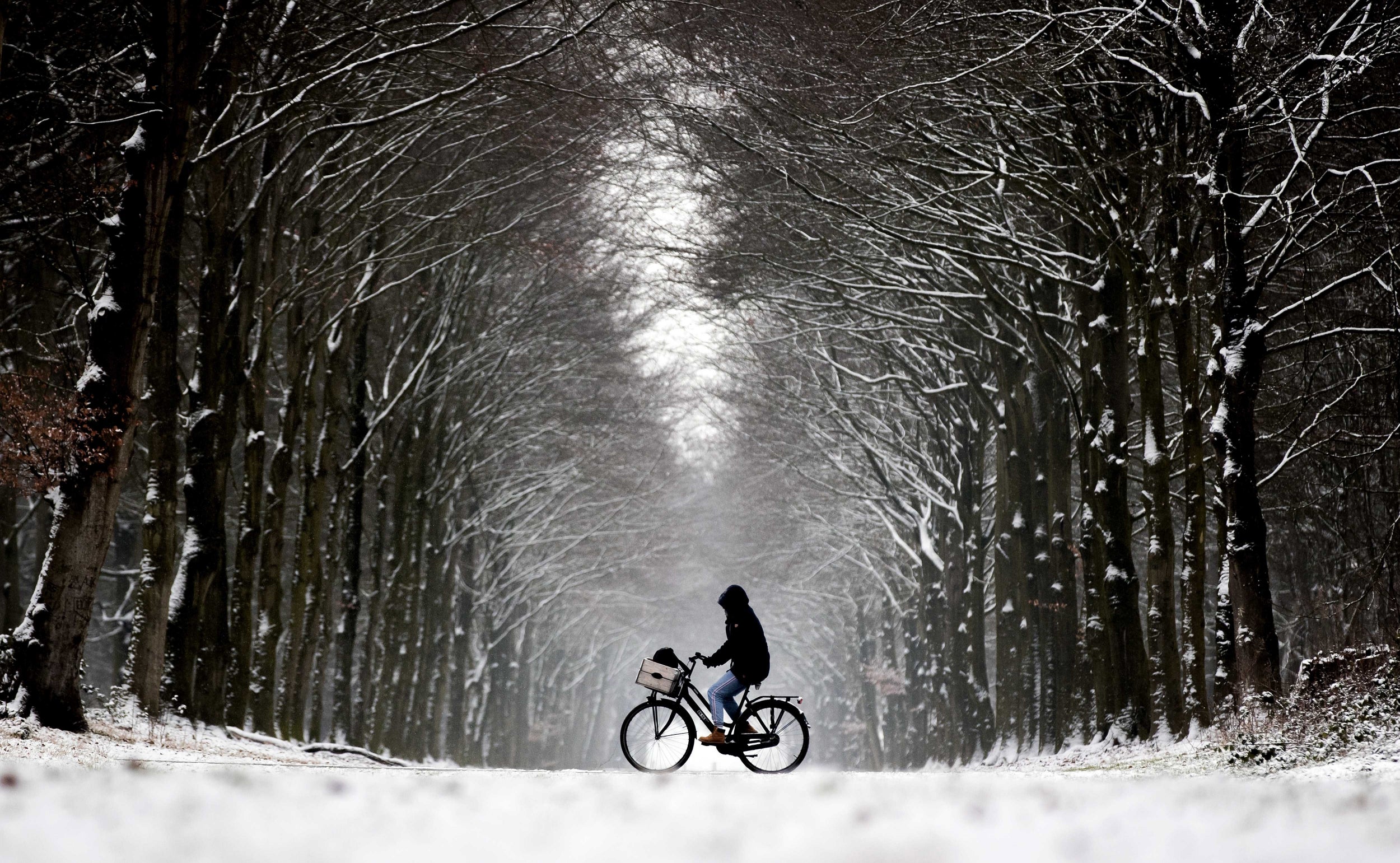 Netherlands