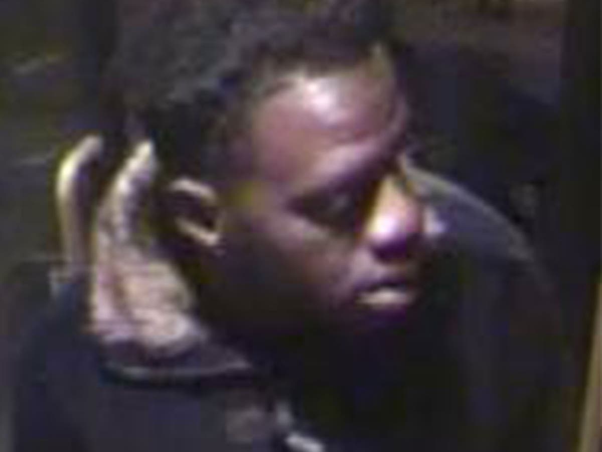 London bus assaults lead police to hunt for serial sex attacker