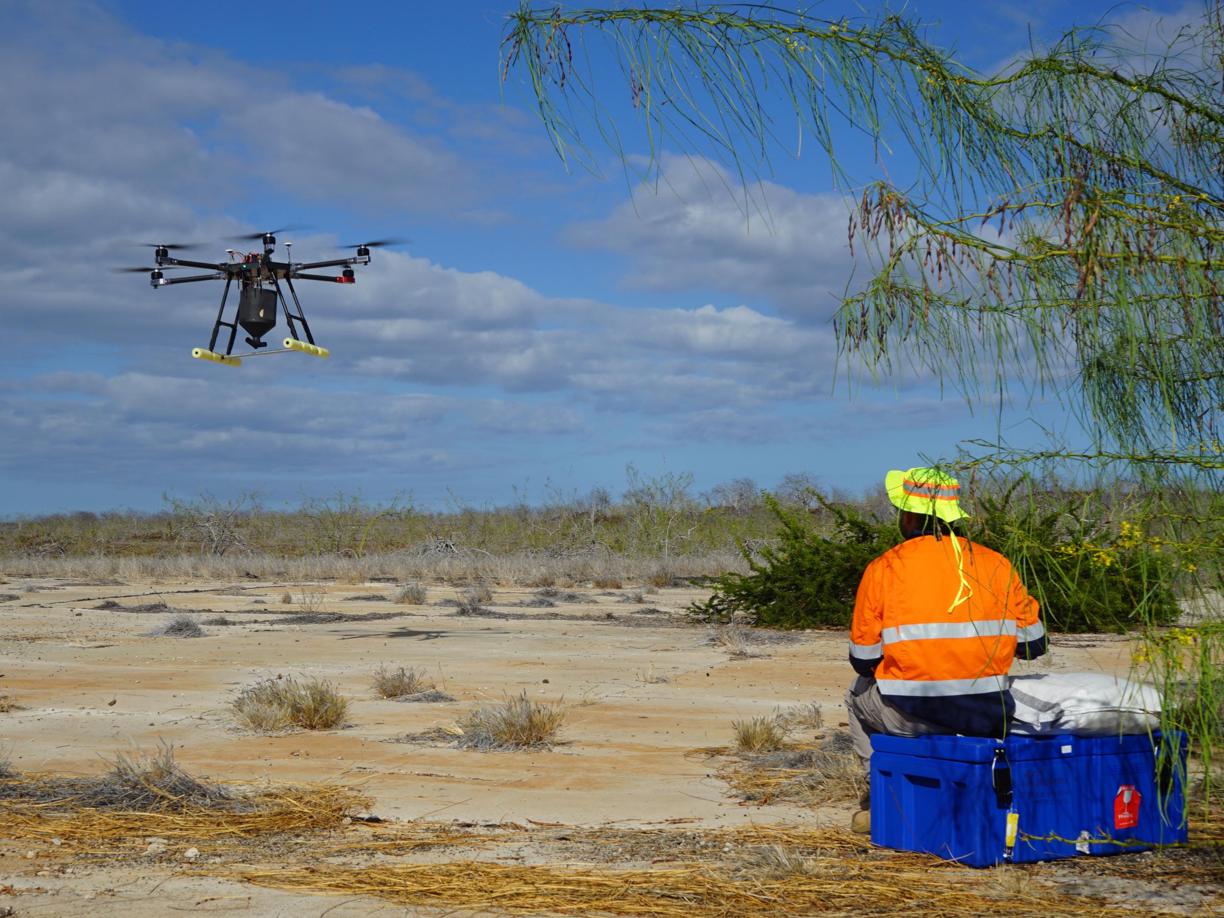 The drones can cover large areas of the island with relative ease