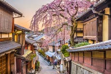 A complete guide to Japan’s cherry blossom season