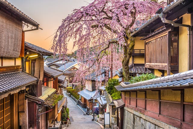 Kyoto on cherry blossom season