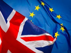 Brexit EU citizen registration scheme ‘risks another Windrush scandal’