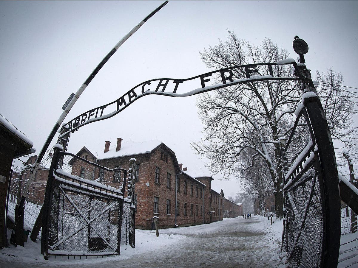 Auschwitz Visitors Told To Stop Posing For Disrespectful Photos At Nazi Death Camp The Independent The Independent