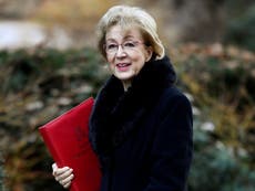 Andrea Leadsom cancels February break so MPs can work on Brexit