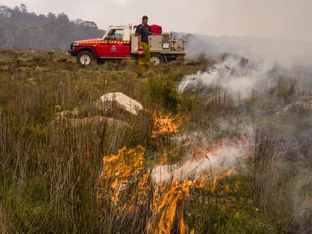 Firefighters continue to battle a number of blazes across Tasmania