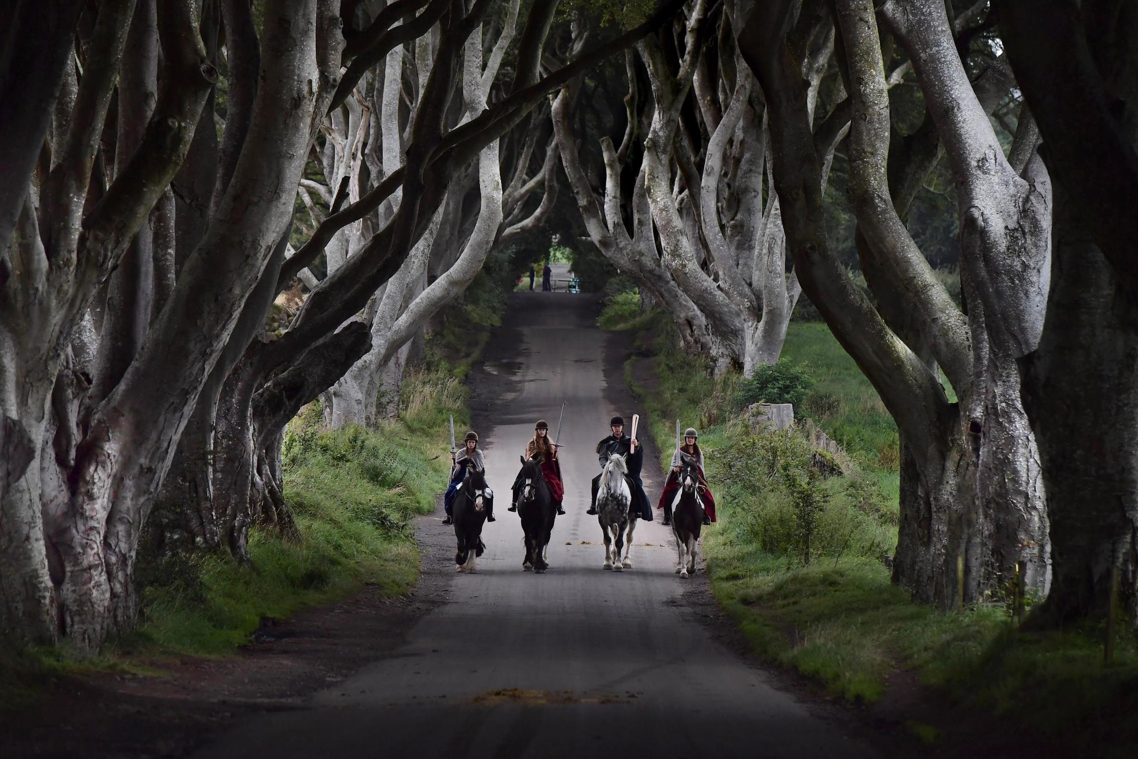 Game Of Thrones Gale Winds Destroy Tree Made Famous By Hbo Show