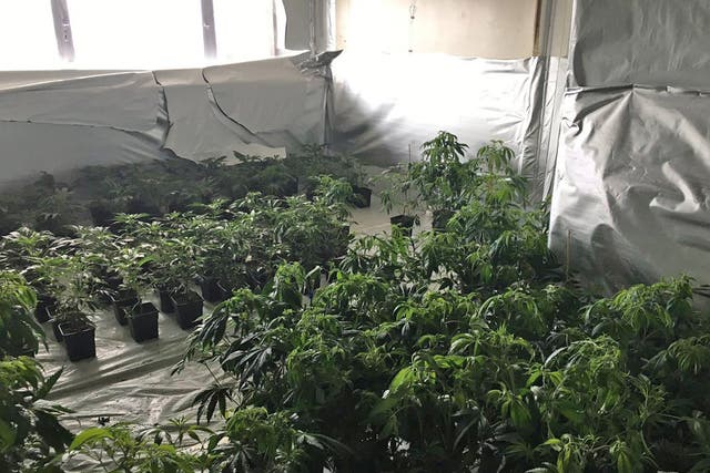 Police found a cannabis factory covering three floors of a Birmingham tower block