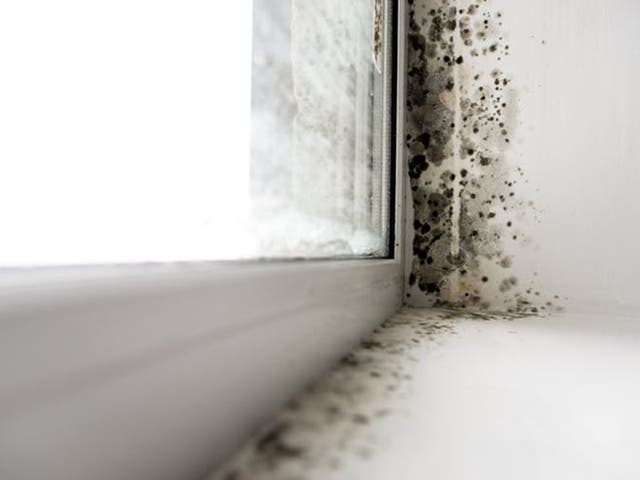 Landlords will have to make sure their properties meet certain standards at the beginning and throughout a tenancy