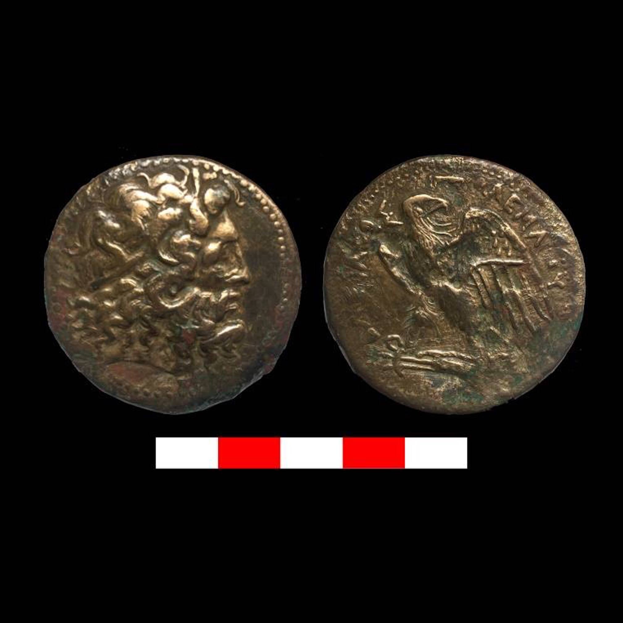 Ptolemaic era coins discovered in an ancient wine cellar north of Cairo