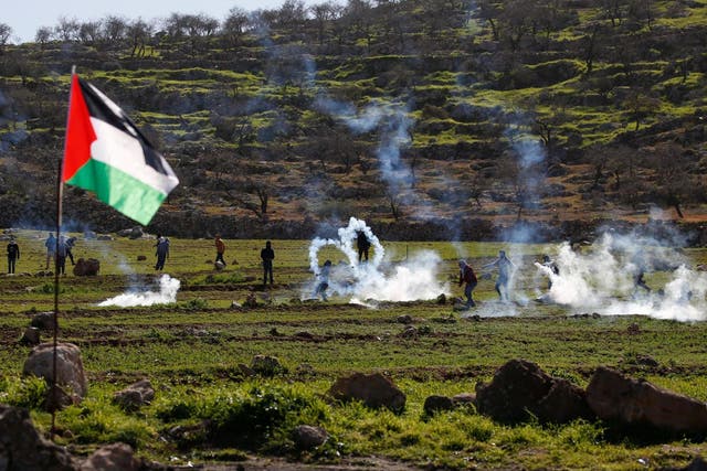 Palestinians protest against land seizures for Jewish settlements in the village of Al-Mughayyir on 25 January
