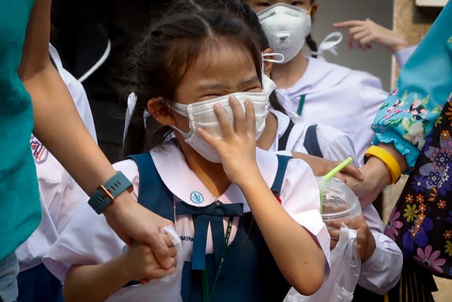 <p>A Thai student wears a face mask as heavy air pollution continues to affect Bangkok</p>