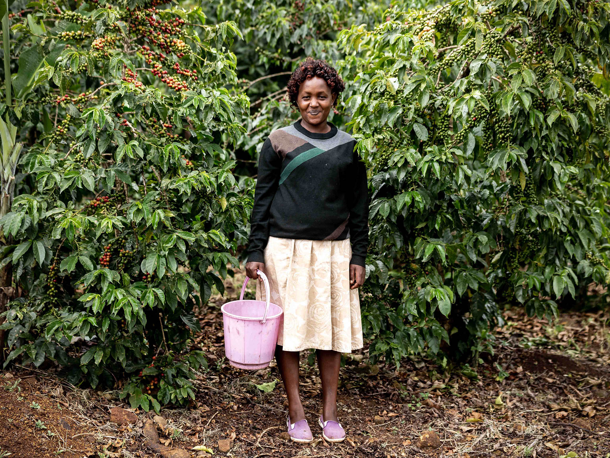 Women in Coffee: 75 per cent of the coffee cherries harvested by the women – like Gladys Chepkemoi from Kabngetuny FCS here – are now of premium quality, up from 25 per cent when the project began