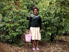 How the gift of coffee is empowering women in Kenya