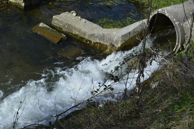 Sewage run-off can contaminate rivers with drug residues from people as well those used liberally in livestock
