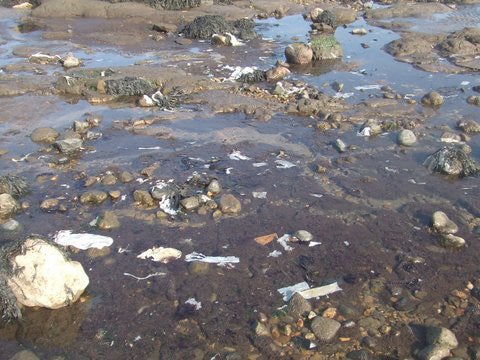 Whitburn residents have been recording sewage discharges including debris such as toilet paper appearing on the beach over the past few years