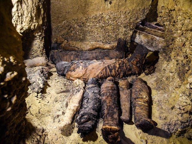 Newly-discovered mummies wrapped in linen found in burial chambers dating to the Ptolemaic era (305-30 BC) at the Tuna el-Gebel archaeology site in Egypt's southern Minya province on 2 February, 2019.