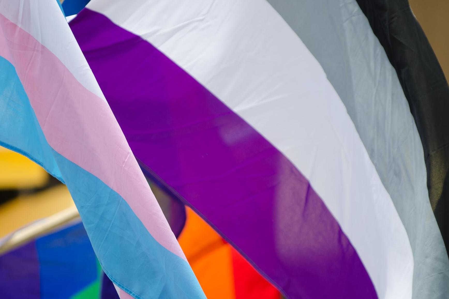 This Is What It s Like To Celebrate Valentine s Day As An Asexual