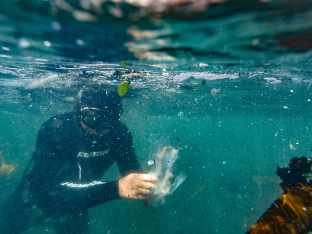 The sea is full of billions of tiny pieces of plastic, which are stuck together by bacteria, researchers found