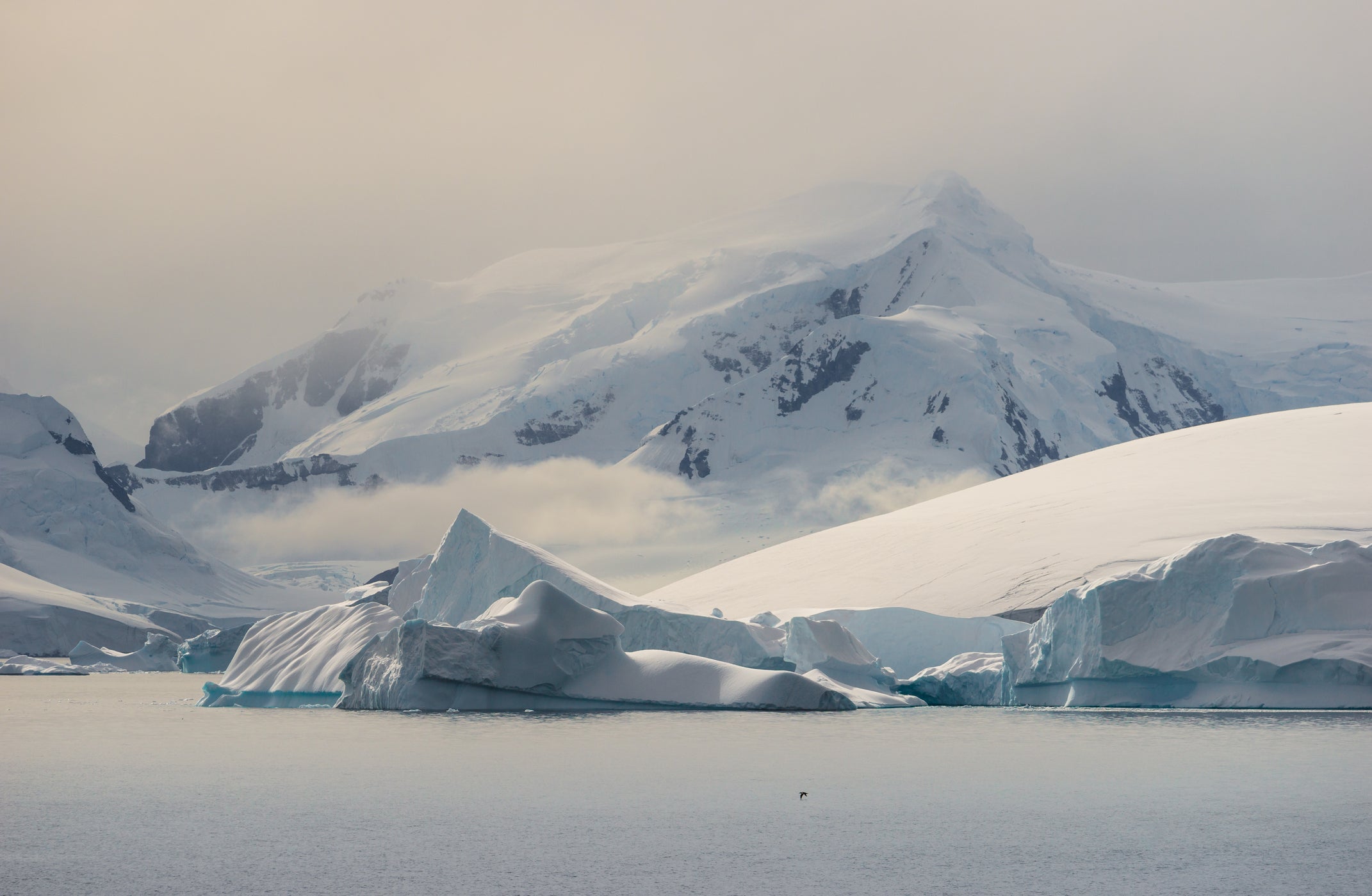 Antarctica: the coldest place on earth?