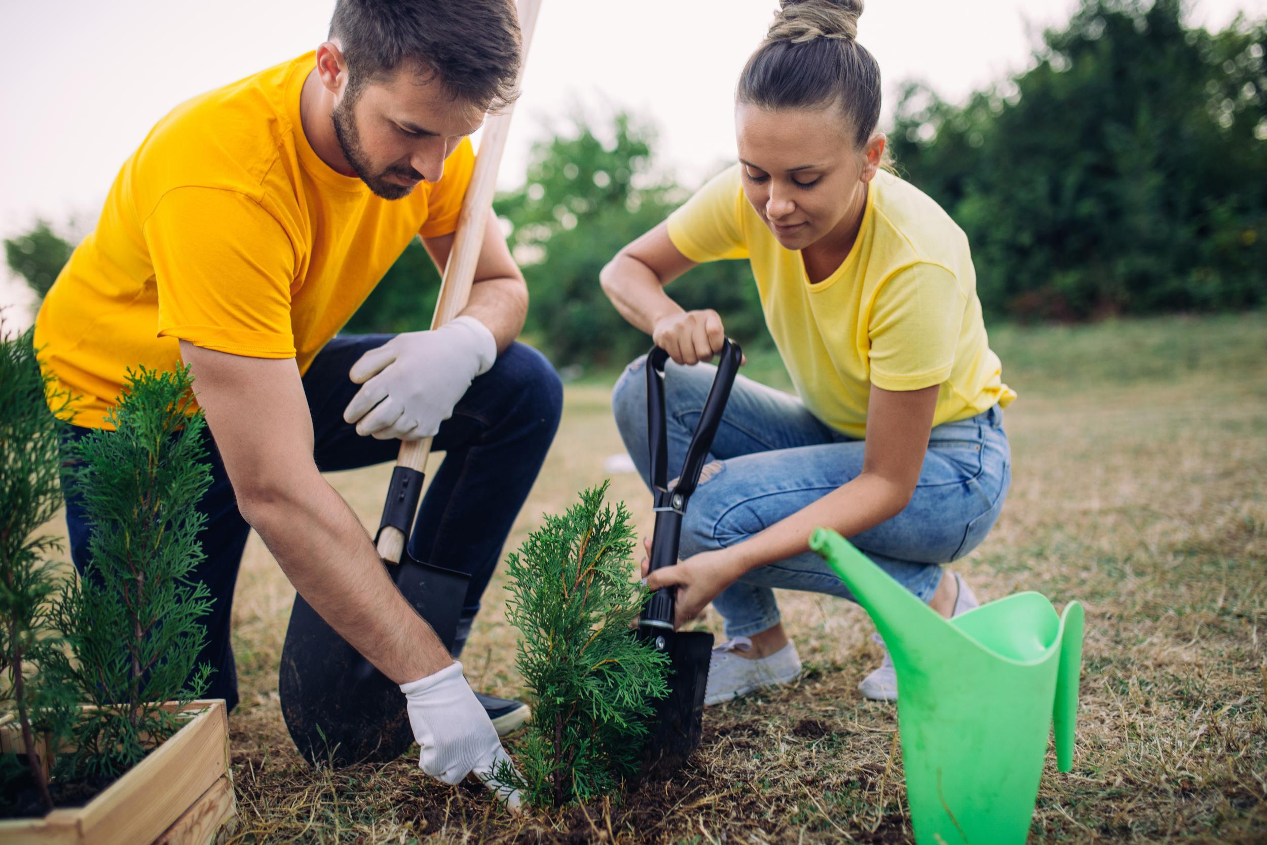 https://static.independent.co.uk/s3fs-public/thumbnails/image/2019/02/05/18/istock-834436338.jpg