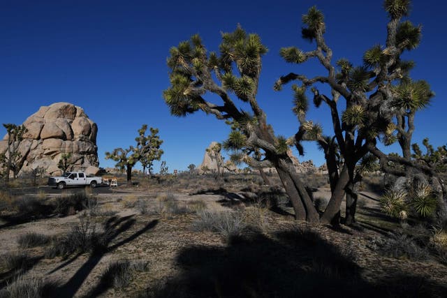 Campgrounds at the Joshua Tree National Park in California are closed after they were left unattended during the government shutdown
