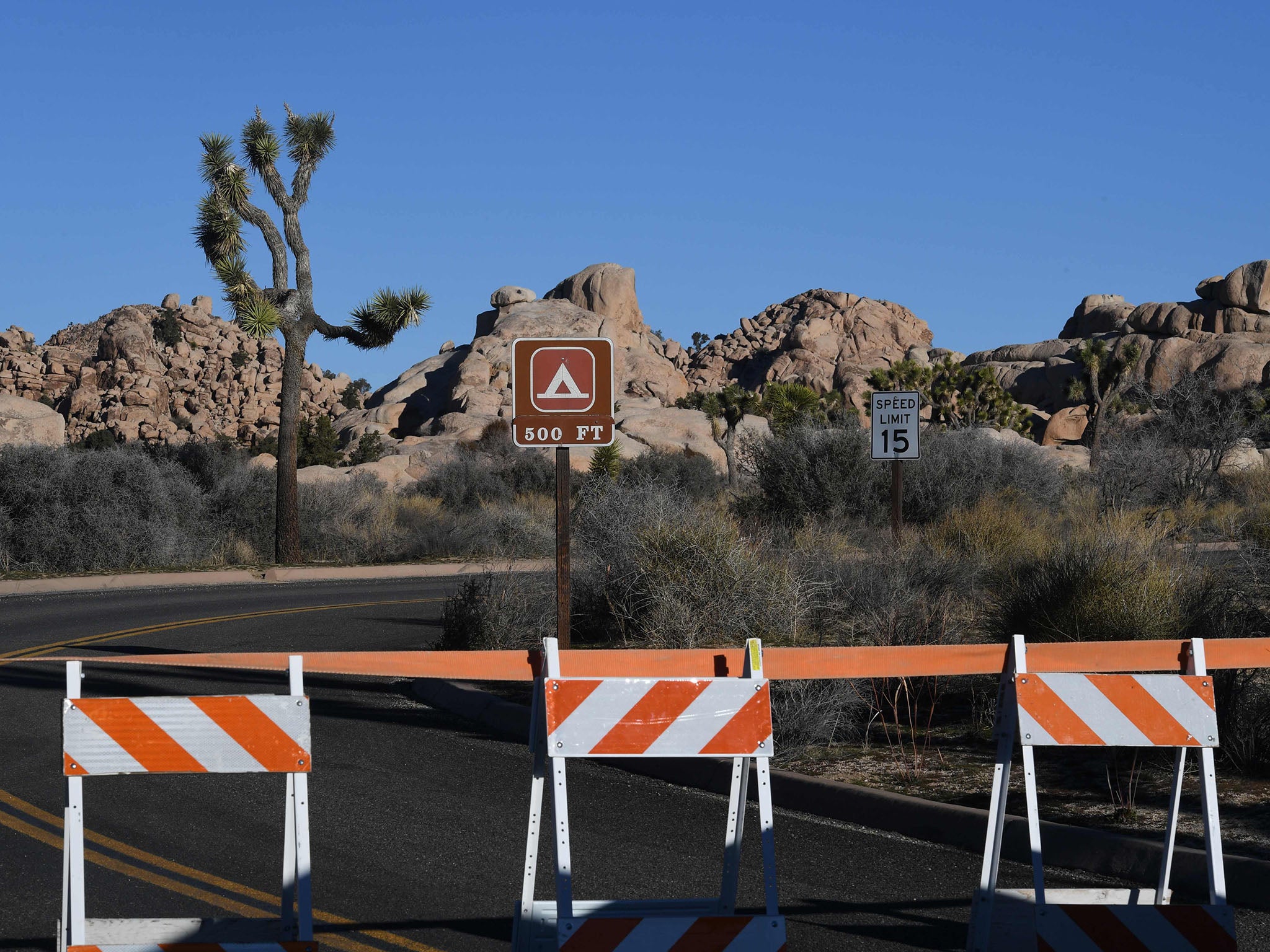 Much of the Joshua Tree National Park closed because of damage done to the nature after the government shutdown left it unsupervised (AFP/Getty)
