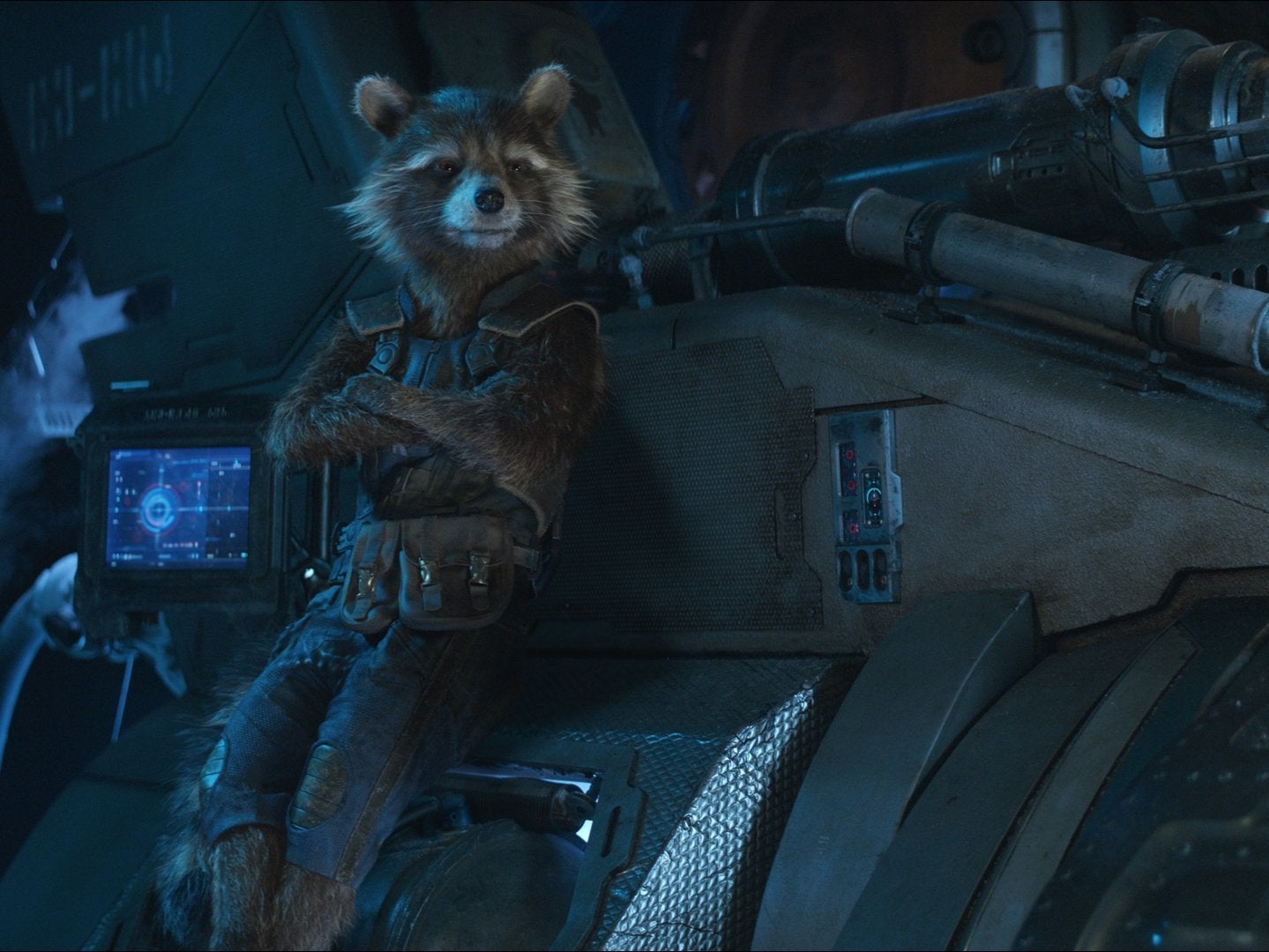 Oreo the Raccoon: Model for Rocket in Guardians of the Galaxy, dies aged 10 | The ...1439 x 1080