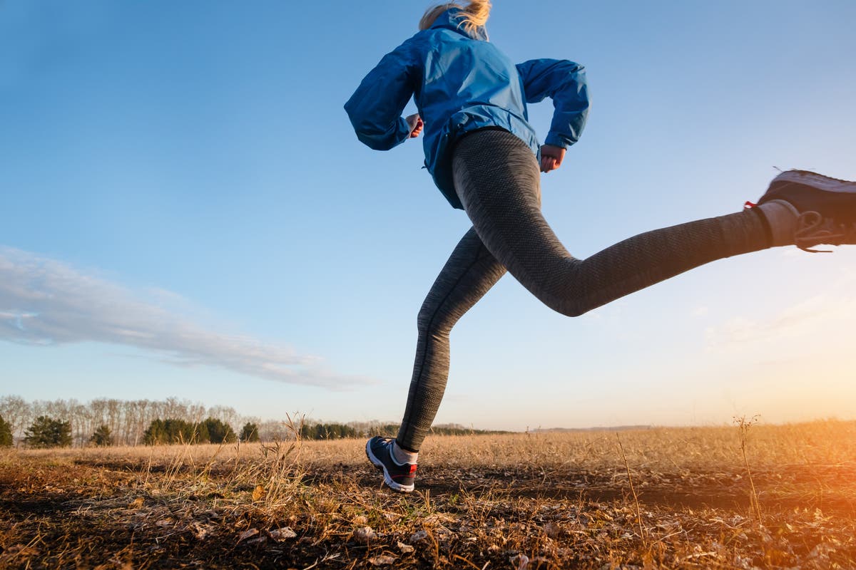 Woman runs seven marathons on seven continents in seven days