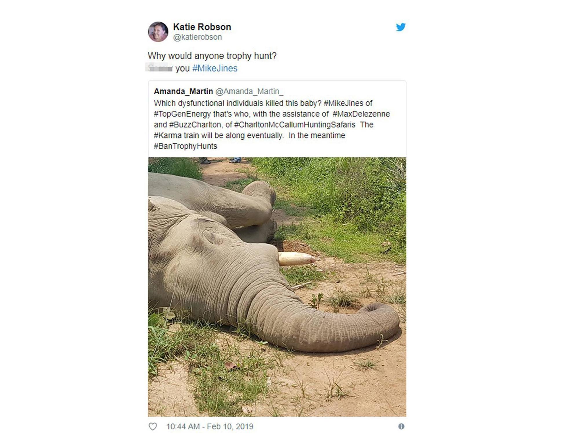 Business of hunter who shot dead two elephants swamped by fury from animal lovers