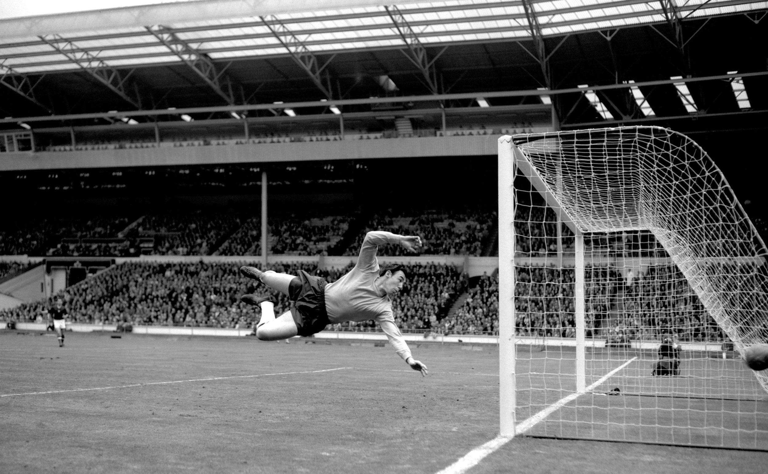 The keeper in action for England against Hungary in 1965