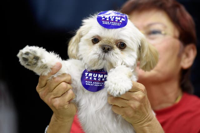 A dog adorned with Trump-Pence stickers at one of the president's campaign rallies