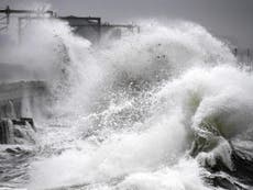 Wave power device could reduce energy bills, scientists say