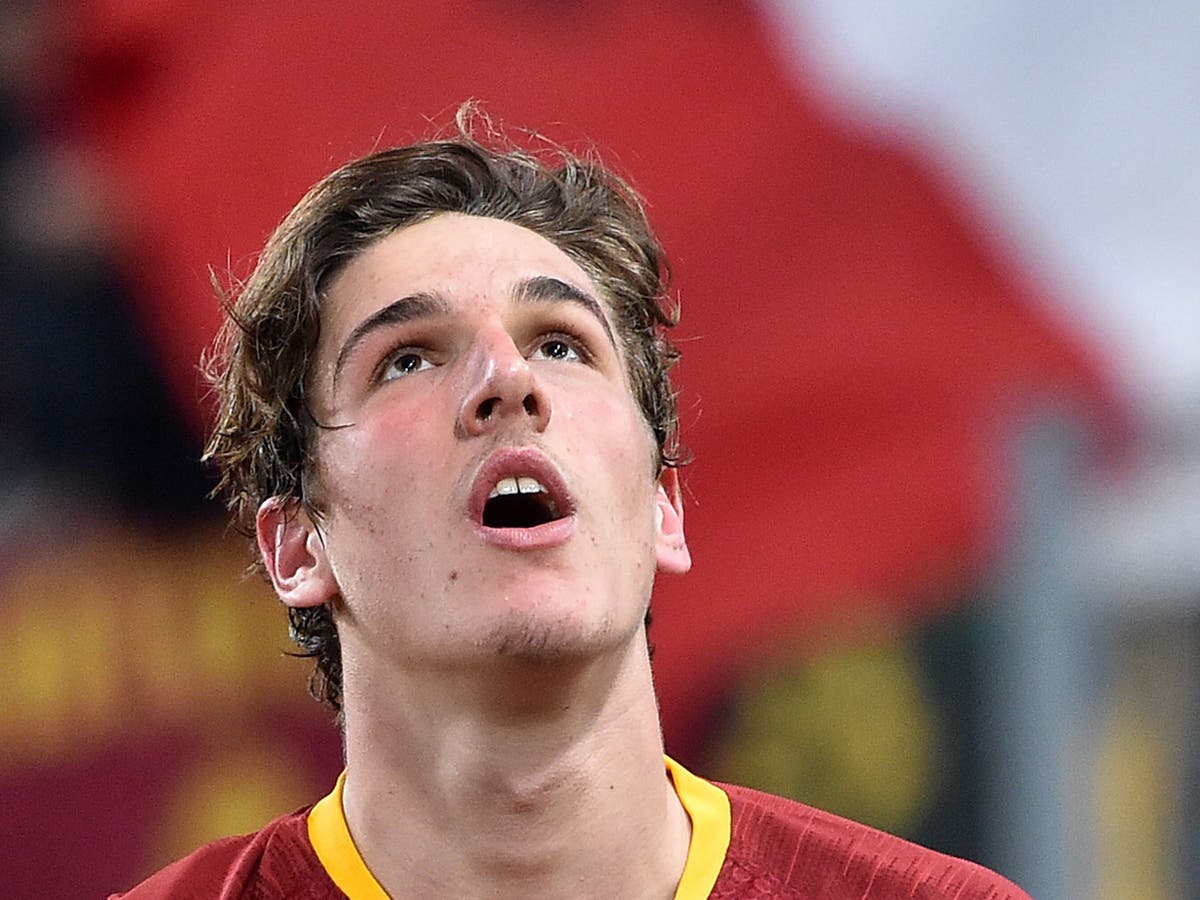 Tottenham transfer news latest: Nicolo Zaniolo, Giovani Lo Celso, Toby Alderweireld and Dani Ceballos latest