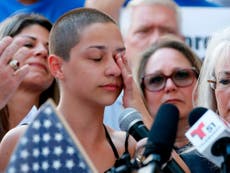 In the year since Parkland, a new chapter opened on guns in America