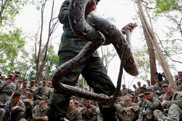 A Thai soldier presents a python during the Cobra Gold multilateral military exercise in Chanthaburi, Thailand