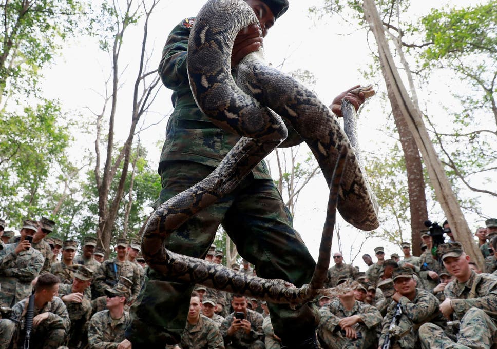A Thai soldier presents a python during the Cobra Gold multilateral military exercise in Chanthaburi, Thailand