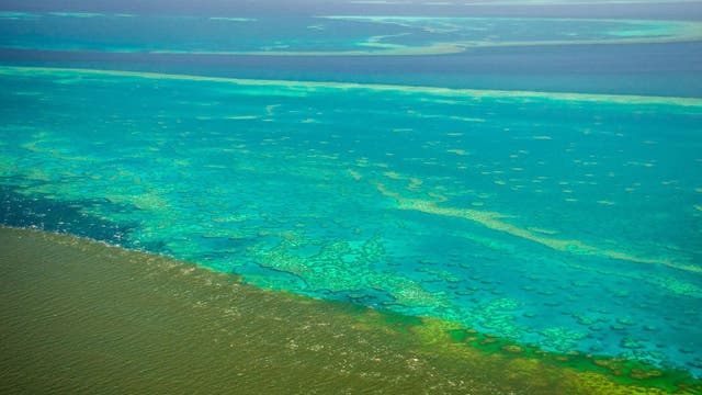 Months after scientists warned that it is at greater risk than ever, the Great Barrier Reef is facing a new challenge: dirty water.