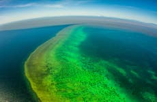Australia floods pose ‘freshwater bleaching’ risk to vulnerable corals