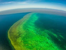 Great Barrier Reef at threat from dirty water due to recent floods