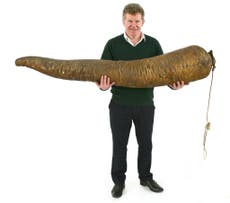 Auction takes £300k selling bizarre items including sperm whale penis