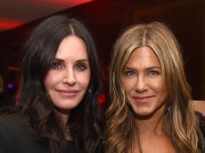 Plane carrying Friends stars Aniston and Cox makes emergency landing