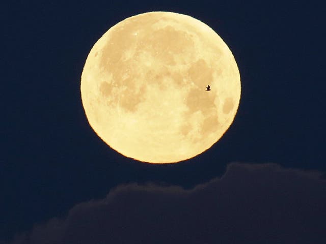 Feburary's supermoon will be slightly brighter and bigger than last month's full moon, seen here from Portugal